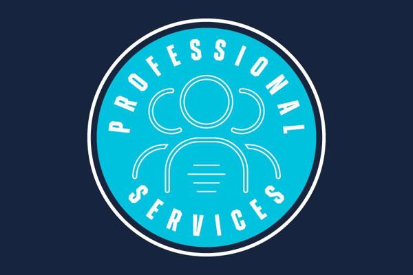 Professionalservices 3