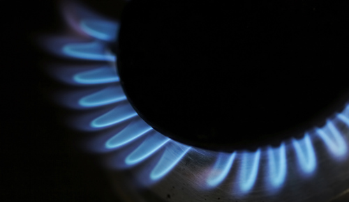Gas Hob Burner
