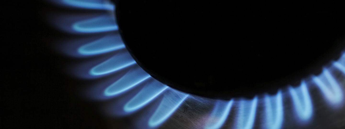 Gas Hob Burner
