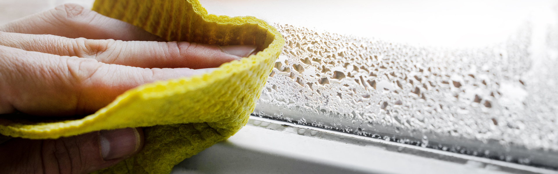 Adobestock 547749466