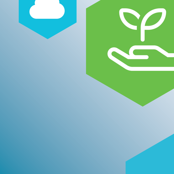 7 Sustainability (1)