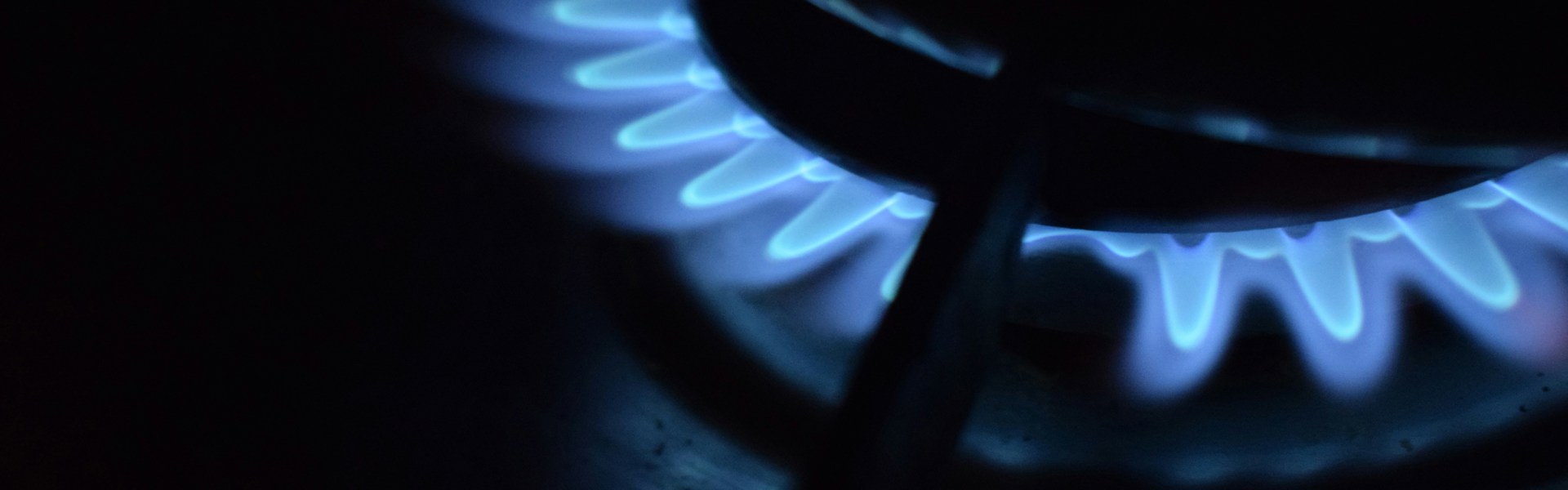 Ilse Driessen Qdeciexgcbu Unsplash