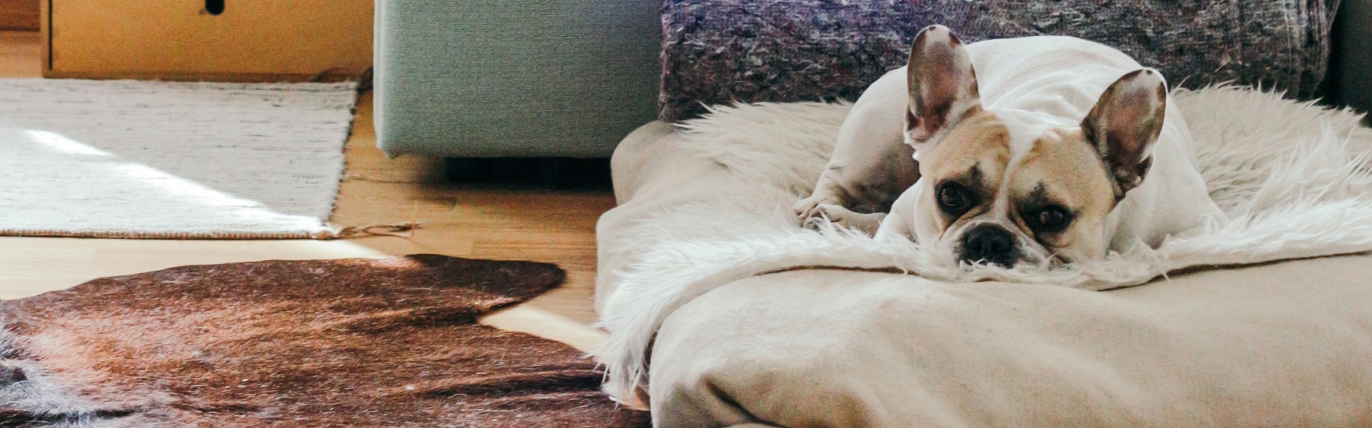 Brina Blum Nwx4pkwzloe Unsplash