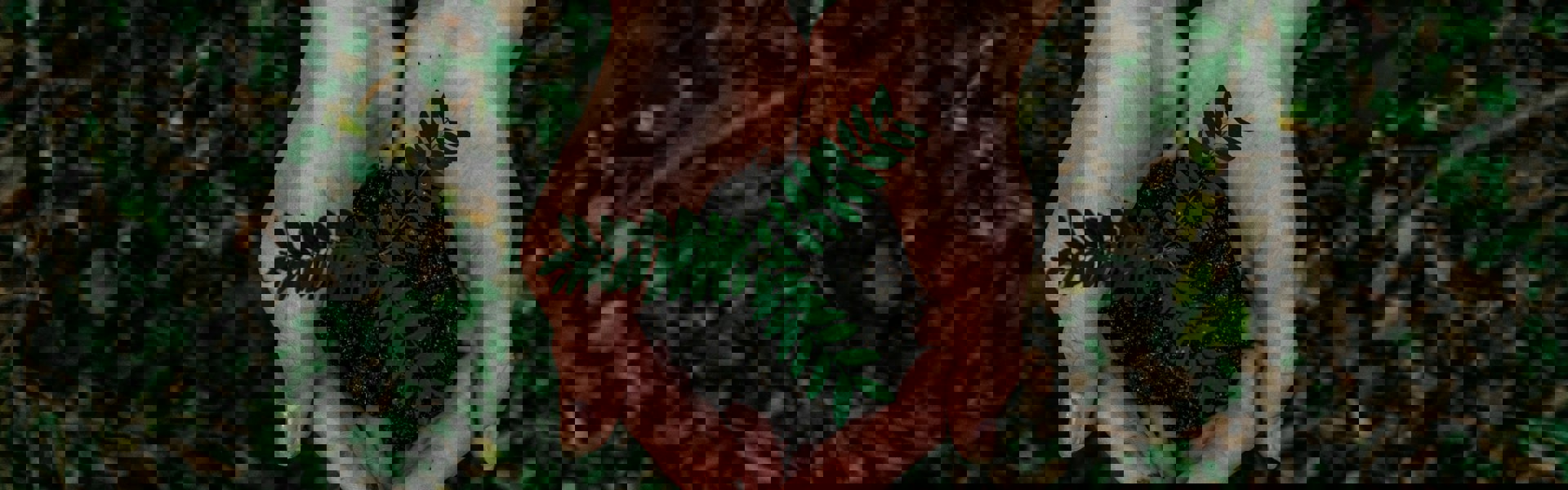 Noah Buscher X8zstuks2pm Unsplash