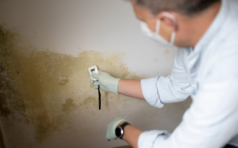 Damp And Mould Project Report