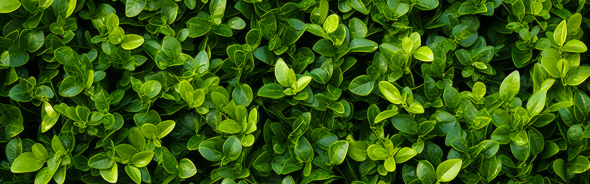 Adobestock 723887173