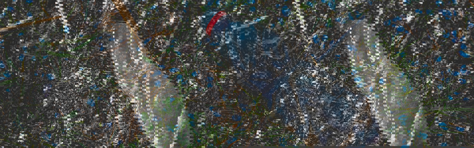 Markus Spiske Teyrhlv0jba Unsplash