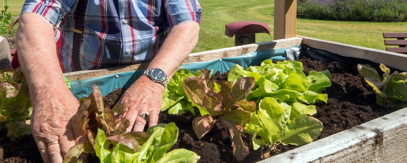 Gardening Banner