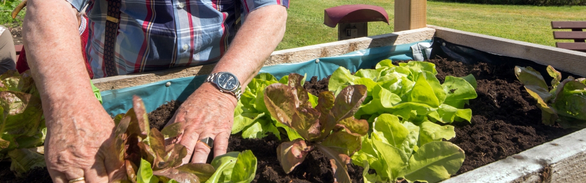 Gardening Banner