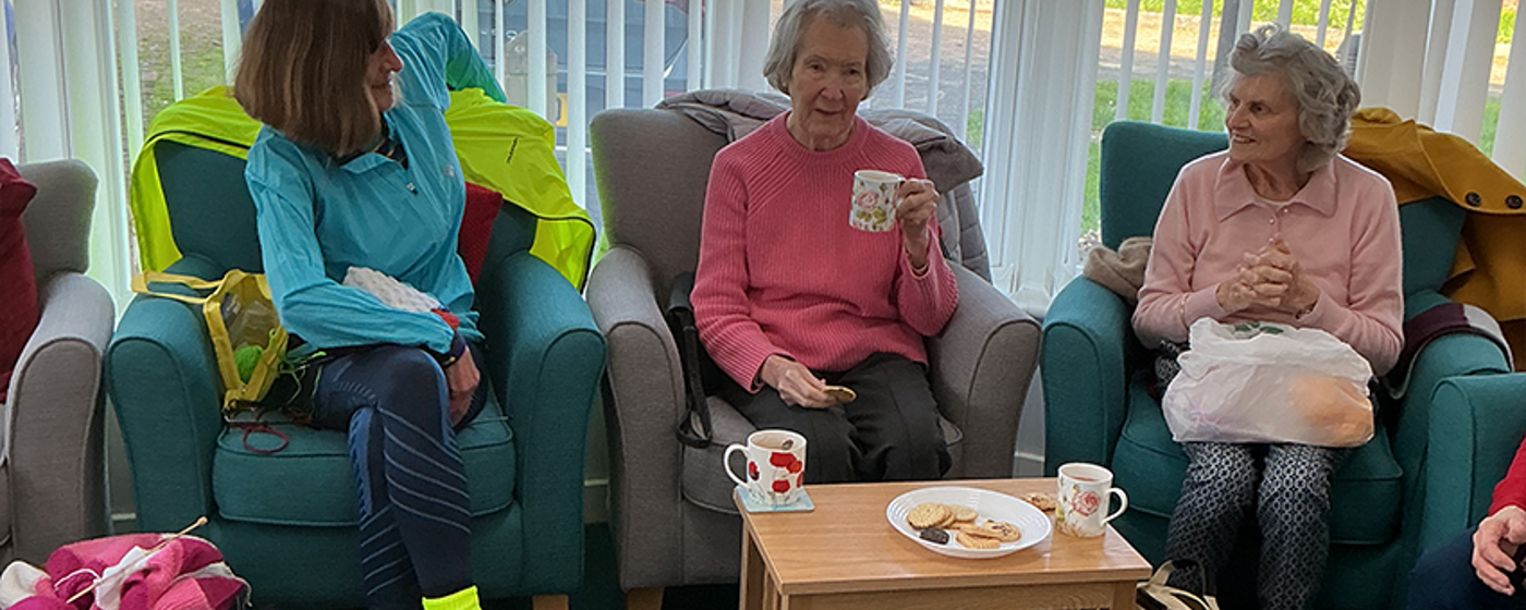 Knit Natter Web Resized 1