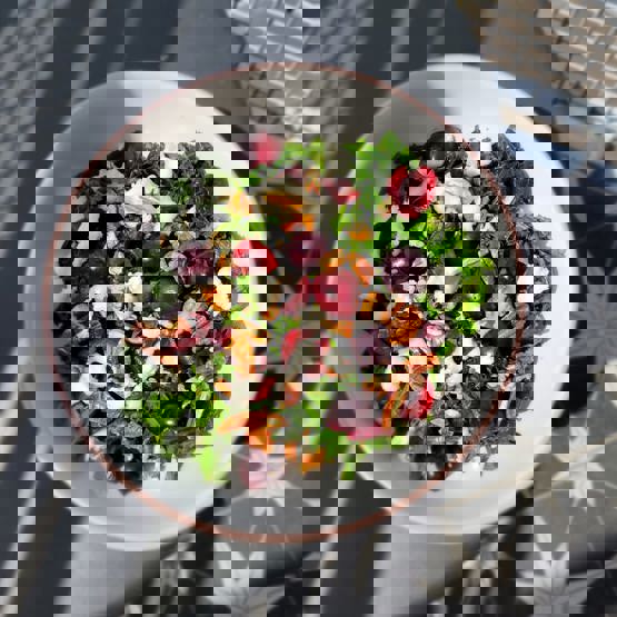 Df036012 35B0 4740 Bd1d Cf39ca00271a (1)