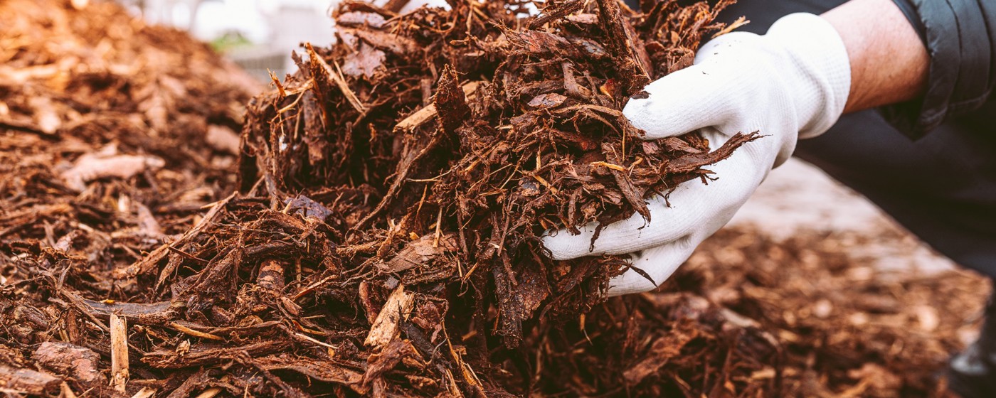 Mulch