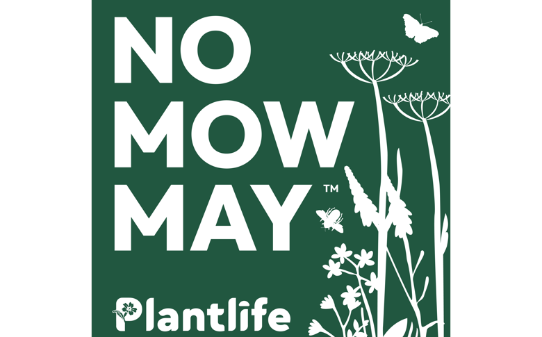 NMM Logo Green Canvas Increased