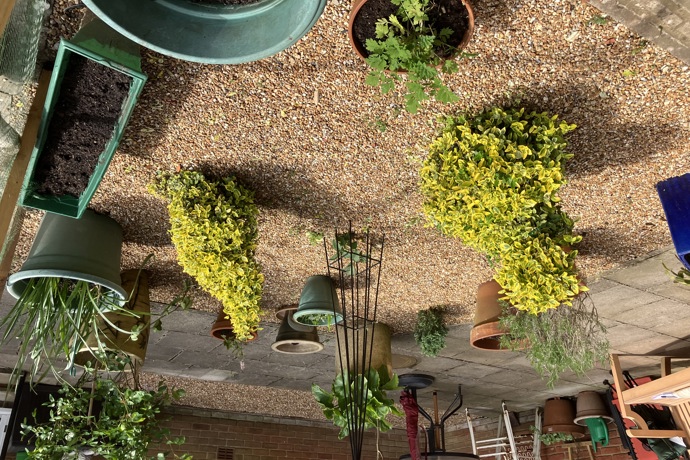 St M Patio 4