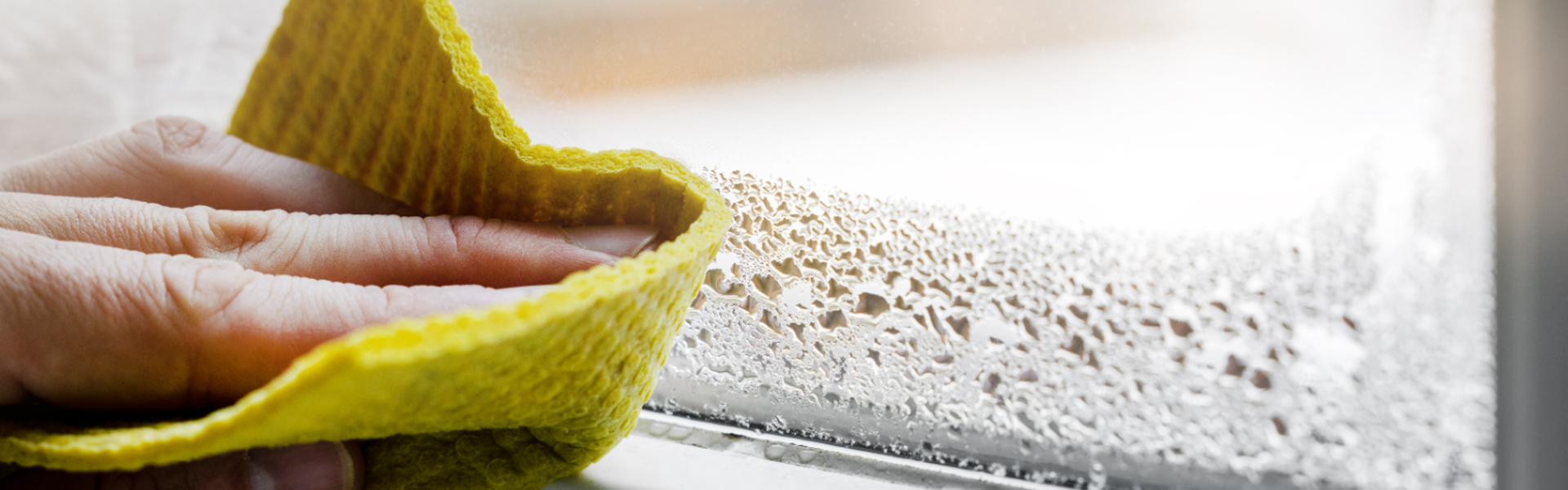 Damp And Mould Image For Card