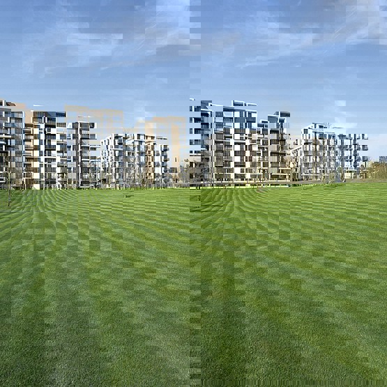 Triathlon Homes