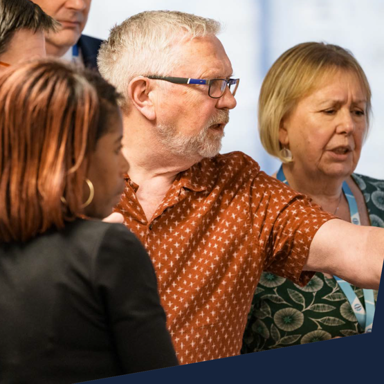 Risk Committee Member