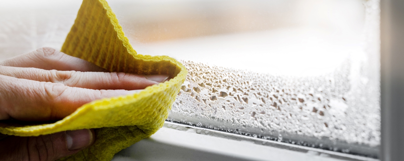 Damp 1